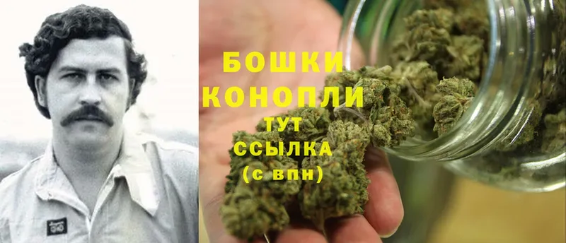 Бошки марихуана THC 21%  Люберцы 